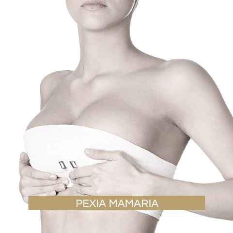 Pexia Mamaria (Levantamiento de mamas)