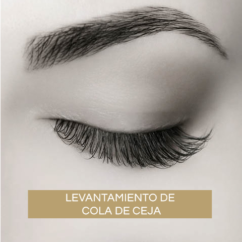 Levantamiento de Cola de Ceja